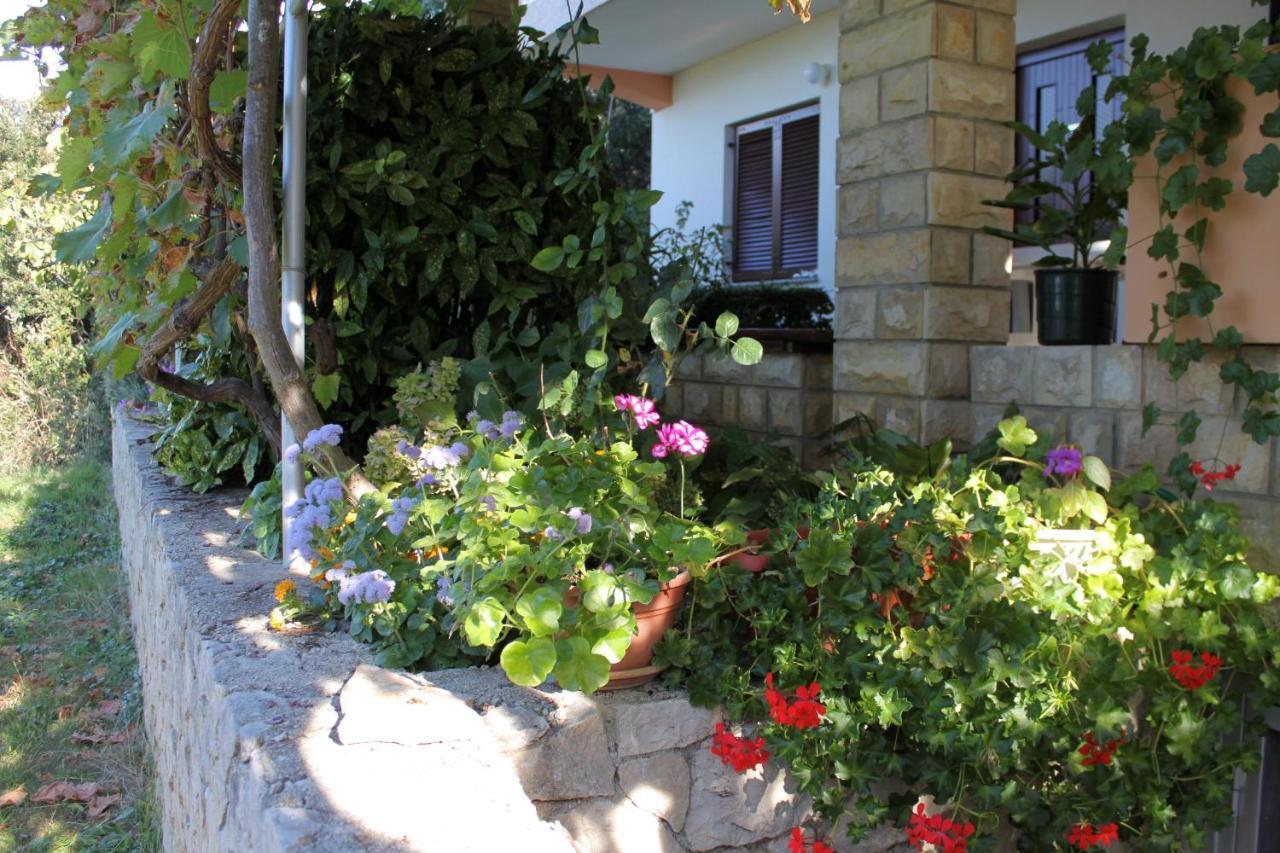 Family Friendly Seaside Apartments Kozino, Zadar - 5749 Petrčane Dış mekan fotoğraf